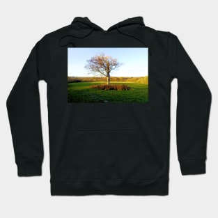 Last Tree Standing Hoodie